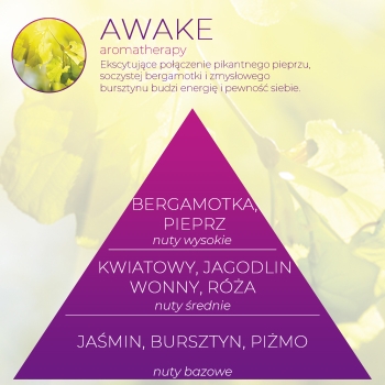 <B>AWAKE</B> SPRAY 250 ml odświeżacz powietrza PREMIUM